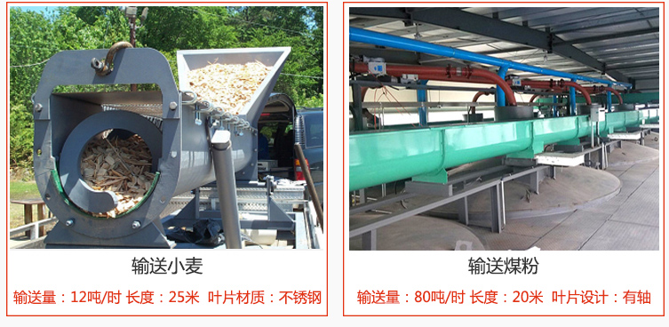 絞龍螺旋輸送機(jī)輸送小麥輸送量在12噸/時(shí)，長(zhǎng)度為25米，葉片采用不銹鋼材質(zhì)；輸送水泥輸送量在80噸/時(shí)，長(zhǎng)度為20米，葉片設(shè)計(jì)為有軸。