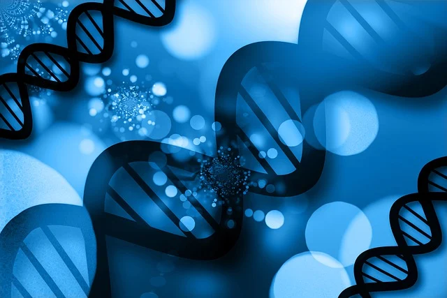 SK-6��SK-12��SK-30ˮ�hʽ��ձü����s�C��ˮ���x�����γߴ�D